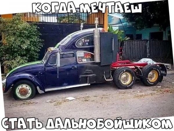 Подборка картинок.  (36 фото)