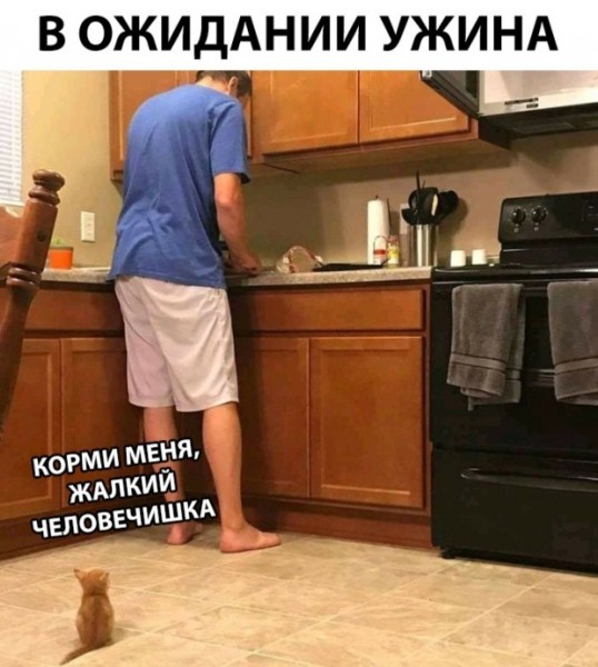 Подборка картинок (30 фото)
