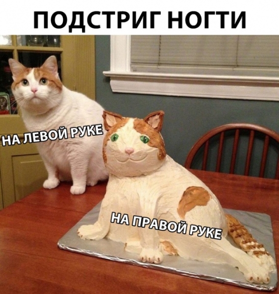 Подборка картинок.  (36 фото)