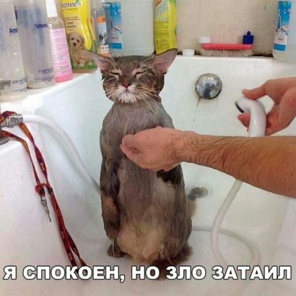 Подборка фото приколов и картинок (43 шт)
