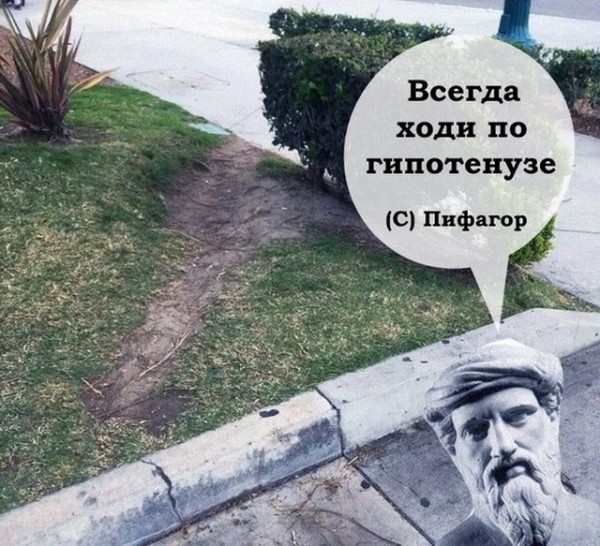 Подборка картинок.  (36 фото)