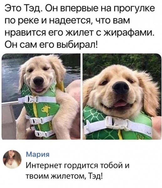 Подборка картинок (30 фото)