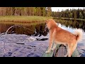Рыбалка в Карелии