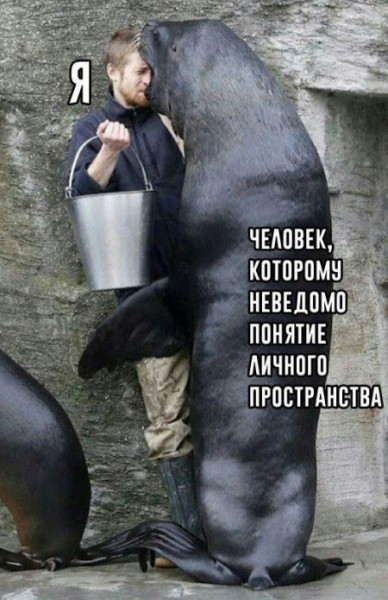 Подборка картинок.  (28 фото)