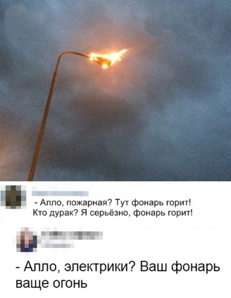 Подборка картинок. (32 фото)