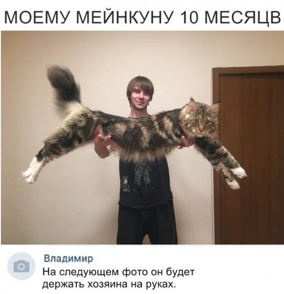 Подборка картинок.  (28 фото)