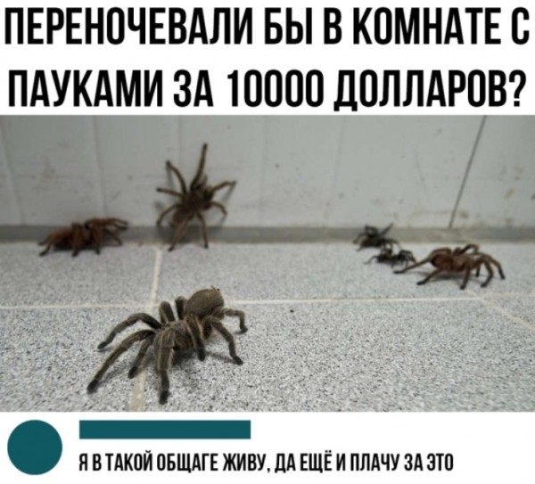 Подборка картинок.  (37 фото)