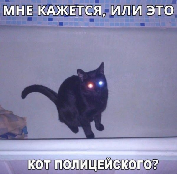 Подборка картинок.  (37 фото)