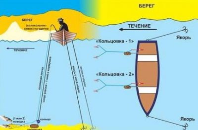 Ловля рыбы на кольцо: какую снасть использовать?