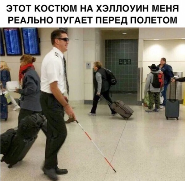 Подборка картинок.  (36 фото)