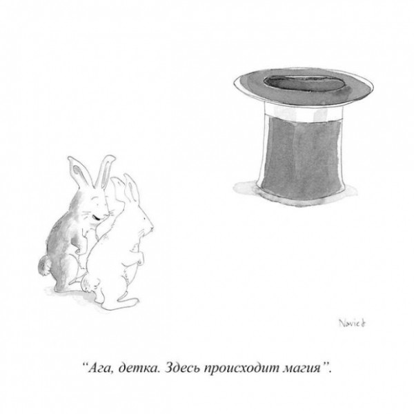 Подборка картинок.  (28 фото)