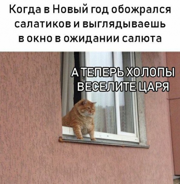Подборка картинок. Дневной выпуск (40 фото)