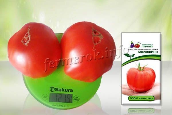 Сорт томатов Бабушкино
