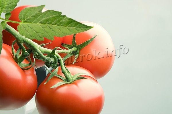 Сорт томатов Бабушкино
