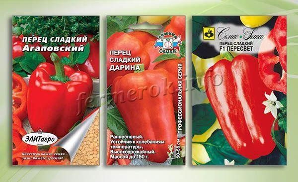 Когда сажать перец на рассаду в 2019 году