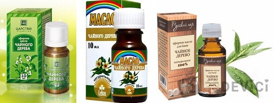 Масло чайного дерева: свойства и применение