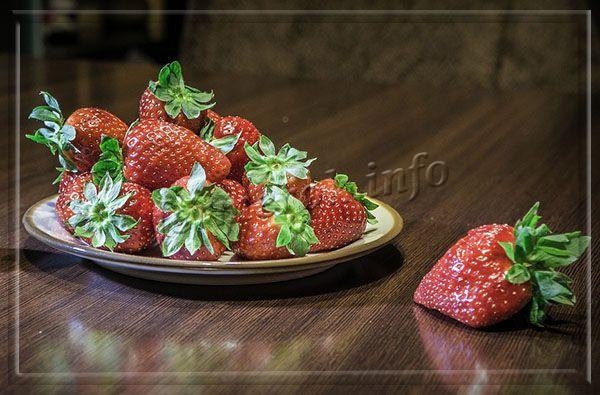 Сорт клубники Капри