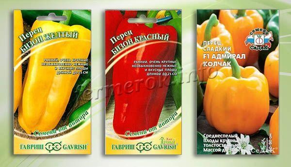 Когда сажать перец на рассаду в 2019 году