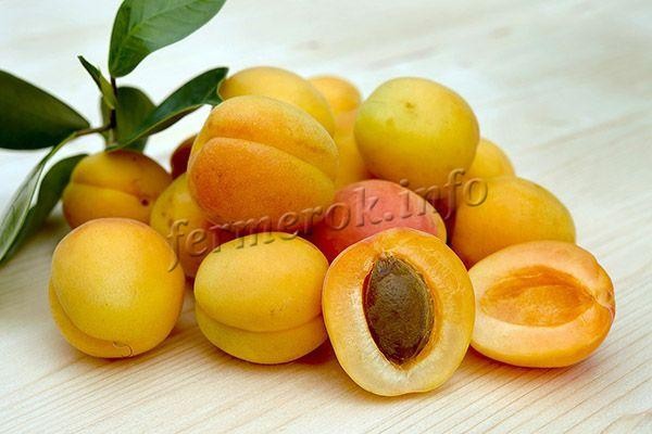 Варенье из абрикосов без косточек