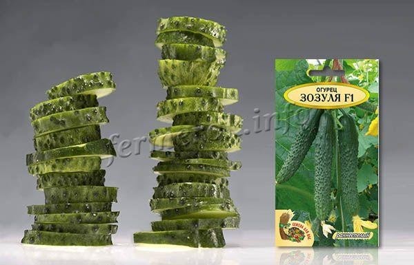 Сорт огурцов Зозуля