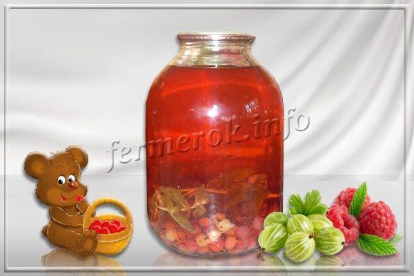 Компот из малины