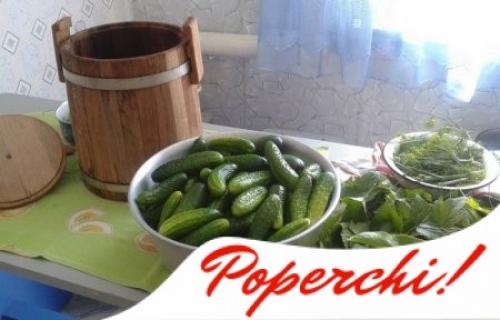 Мы солим хрустящие огурцы в банках на зиму без уксуса: несколько секретов.