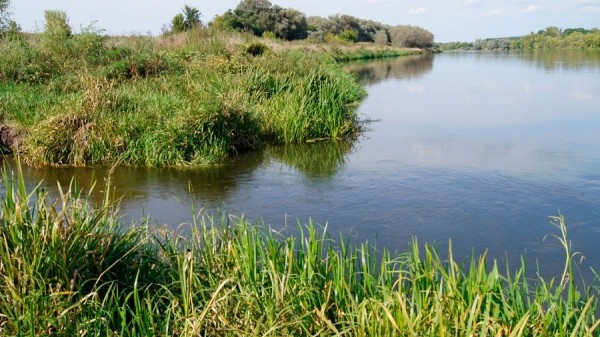 Разнесенные оснастки: отводной поводок