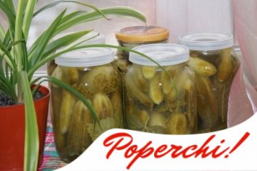 Мы солим хрустящие огурцы в банках на зиму без уксуса: несколько секретов.