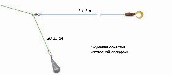 Ловля окуня на отводной поводок