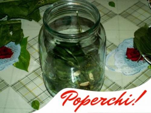 Мы солим хрустящие огурцы в банках на зиму без уксуса: несколько секретов.