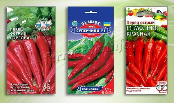 Когда сажать перец на рассаду в 2019 году