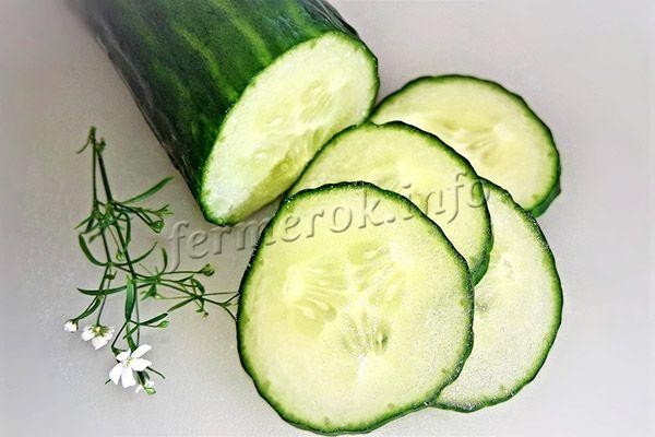 Сорт огурцов Зозуля