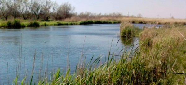 Разнесенные оснастки: отводной поводок