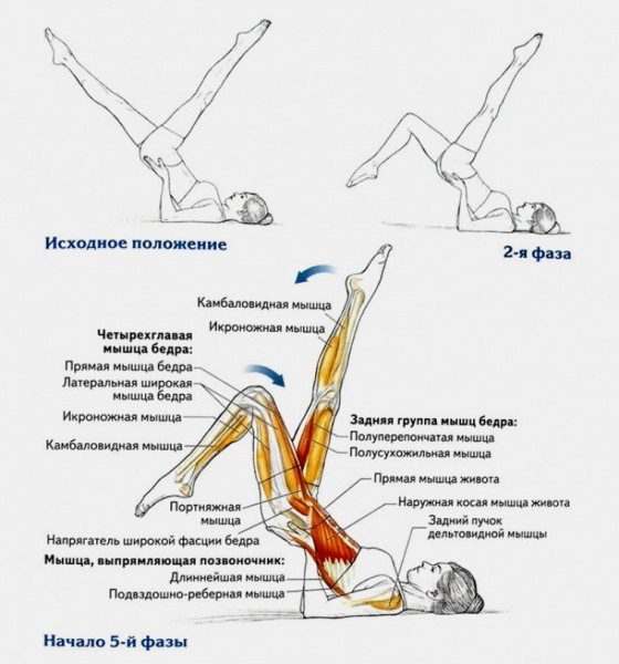  Упражнение «Велосипед» 