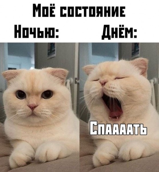 Подборка картинок.
