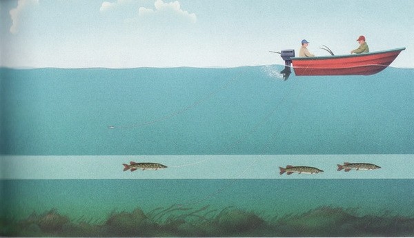 Как ловить щуку | Где и когда ловить, выбор снасти и приманки
