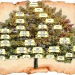Необычные подарки, чем можно удивить и порадовать близких и родных?