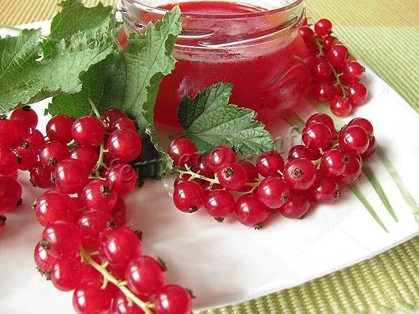 Джем из красной смородины