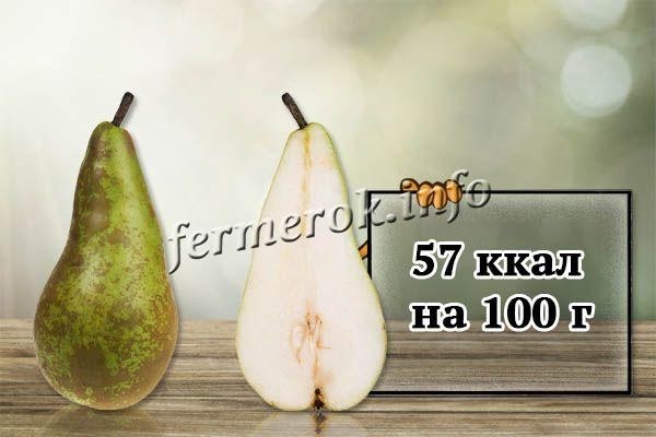 Груша сорта Конференция