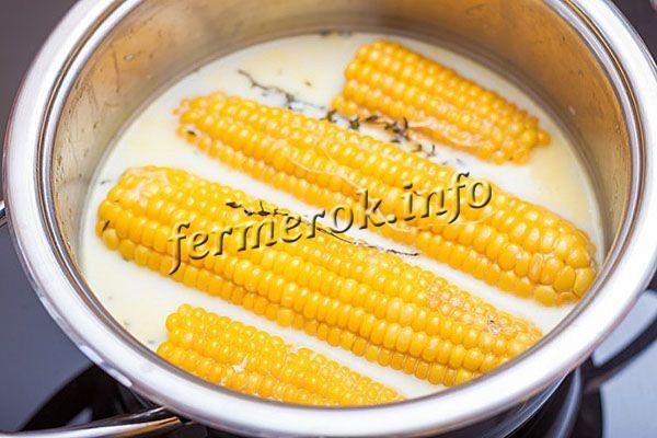 Как варить кукурузу в початках