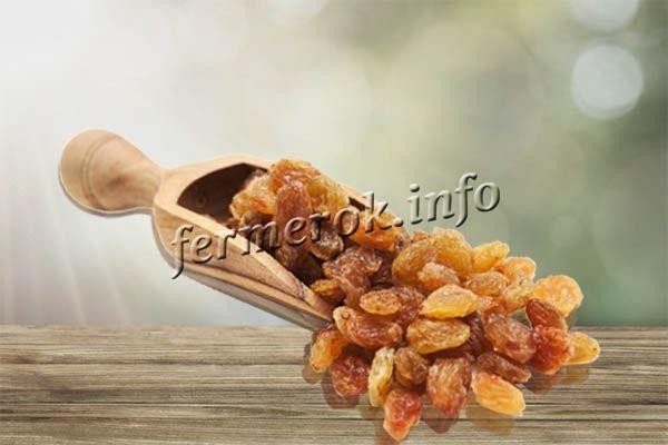 Сорт винограда Дамские пальчики