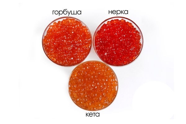 Какая красная икра лучше: кеты или горбуши