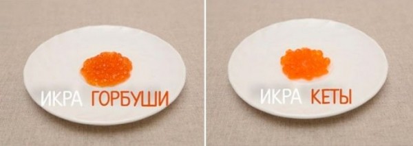 Какая красная икра лучше: кеты или горбуши