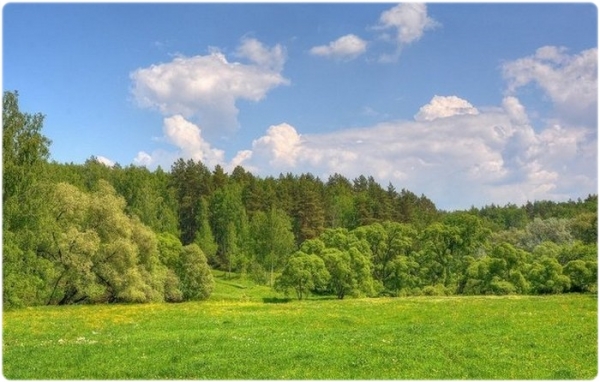 Охотничий календарь