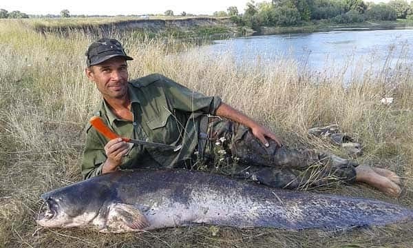  Ловля сома с лодки (Квок, Спиннинг). Снасти | Топ-5 Видео	 