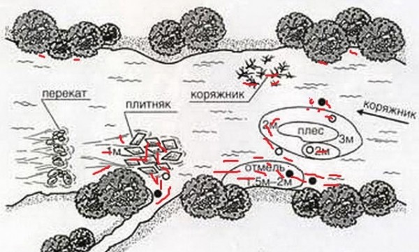 Особенности ловли налима зимой – тактика поиска на водоеме, снасти и секреты