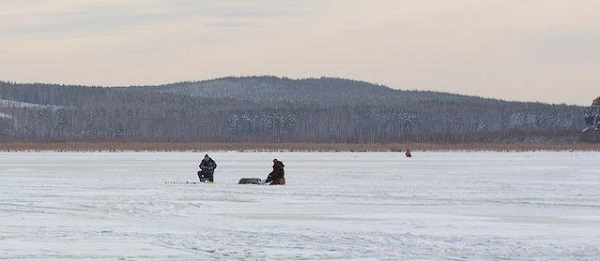 Ловля налима зимой на жерлицы и поставушки – оснастка, изготовление