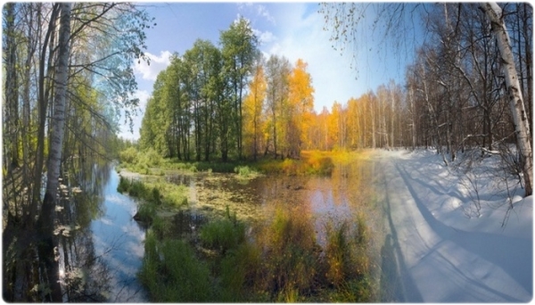 Охотничий календарь