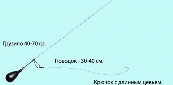 Все о ловле налима в декабре – где искать и как ловить