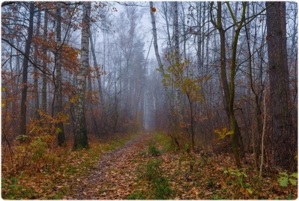 Охотничий календарь